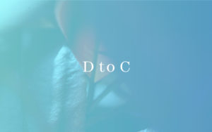 プロフェッショナル風動画の作り方 Soranoue Creative Works